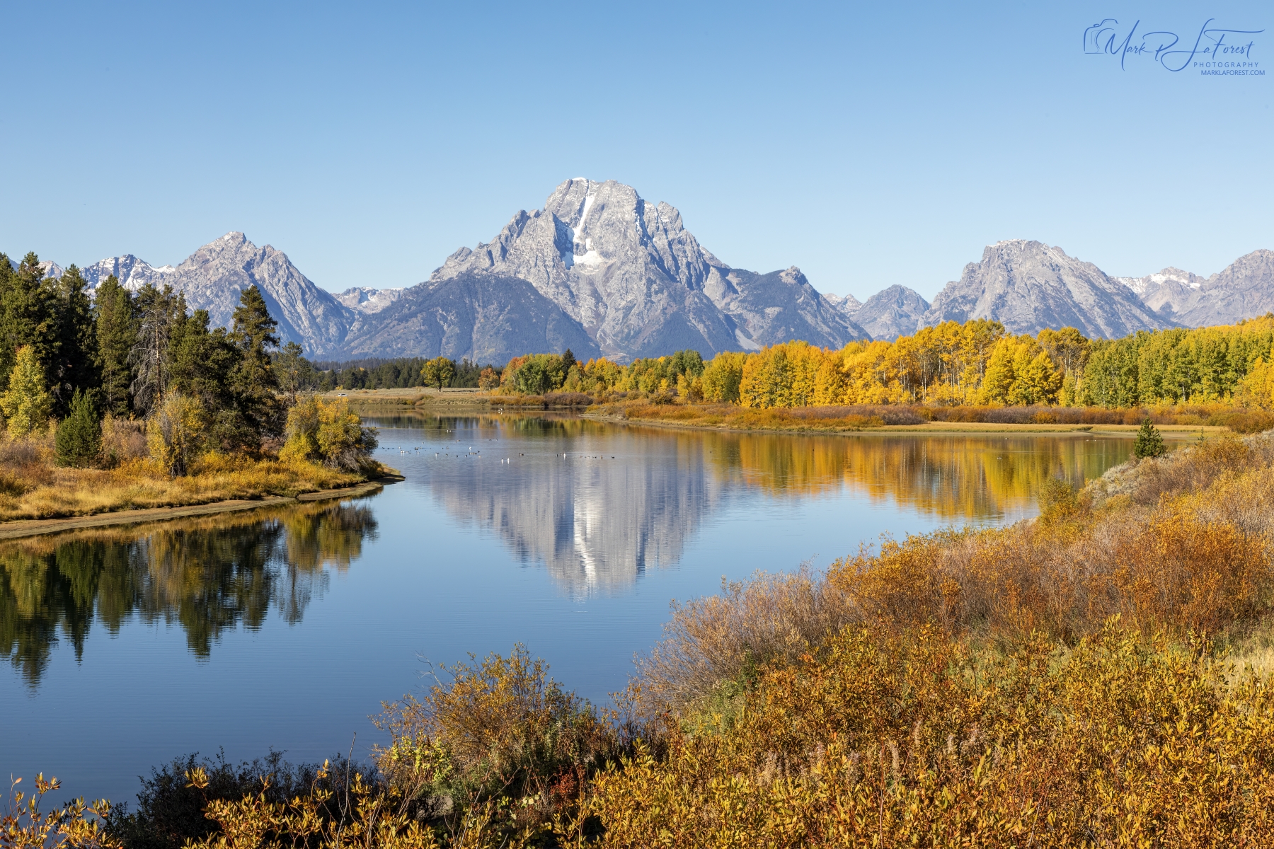 Fall in the Grand Teton National Park